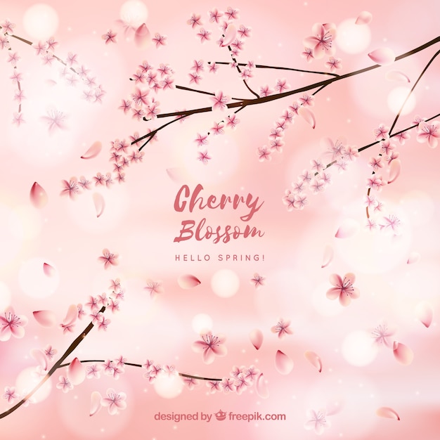 Cherry blossom card