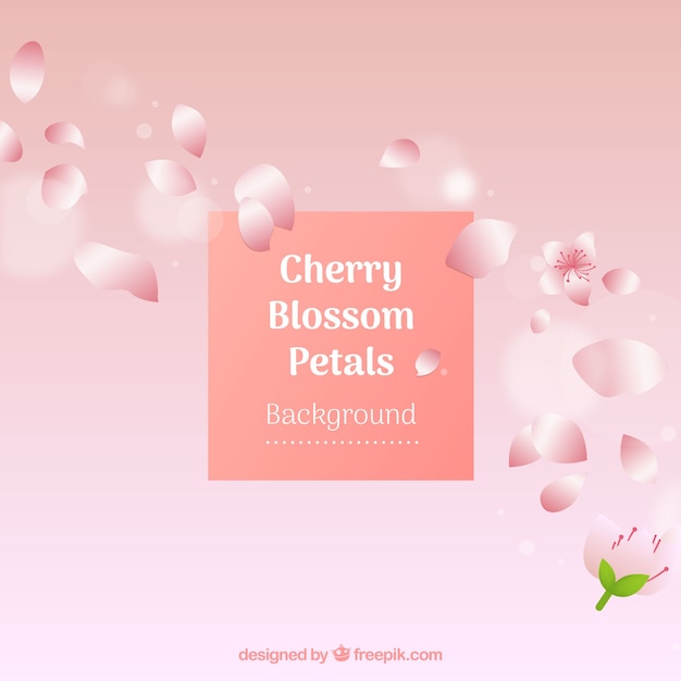 Cherry blossom petals background in gradient style 