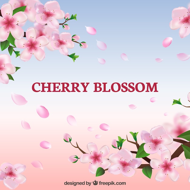 Cherry blossom petals background in realistic style