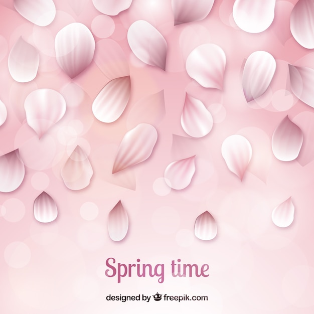 Free Vector cherry blossom petals background