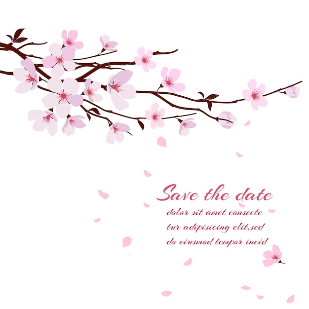 Free Vector cherry blossom, sakura branch with pink flowers. greeting card template