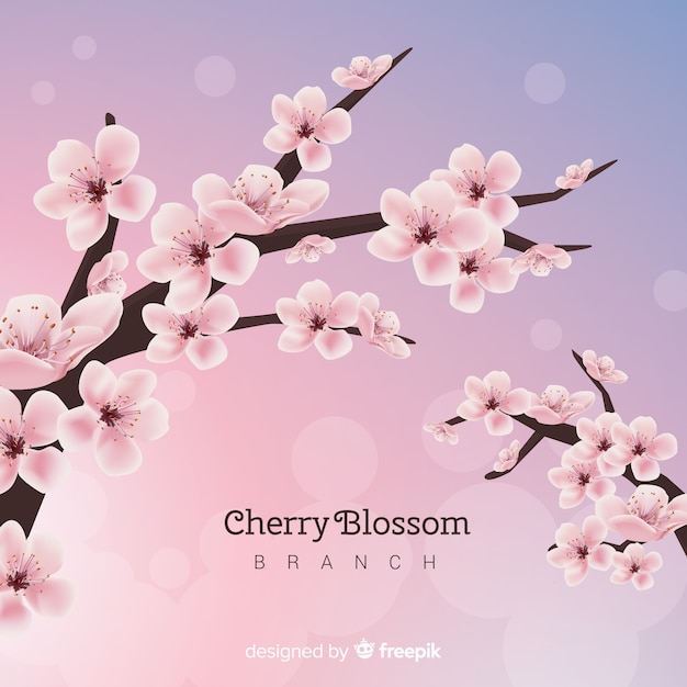 Cherry blossom tree background