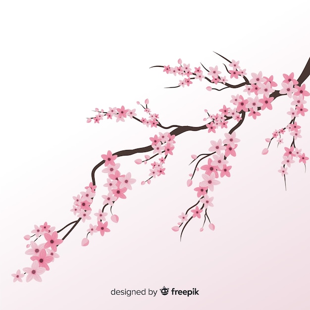 Free Vector cherry blossom