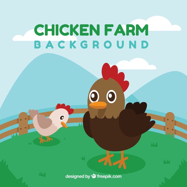 Chicken background with chick