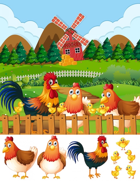 Free Vector chicken family at farmland