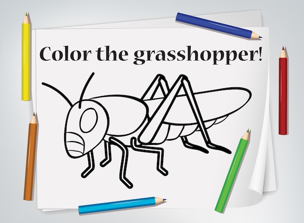 Free vector children grasshopper coloring worksheet