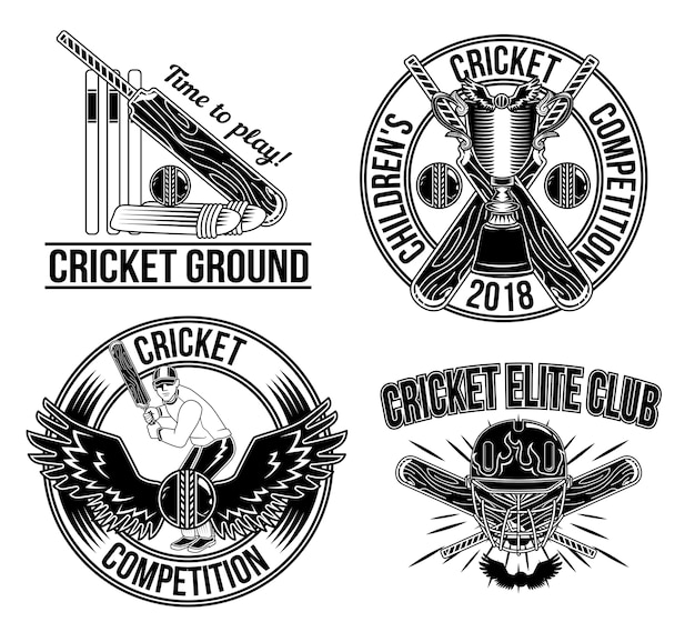 Free Vector children's cricket competition