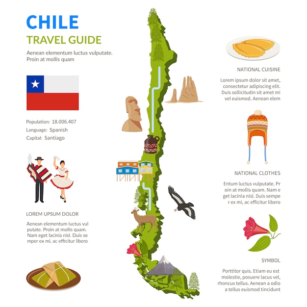 Free Vector chile infographics layout with map