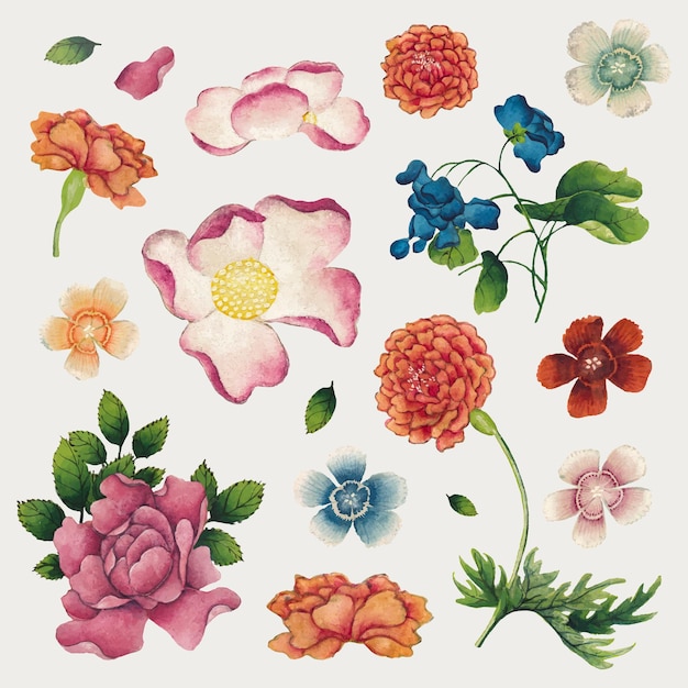 Chinese spring flower set, remix from artworks by Zhang Ruoai