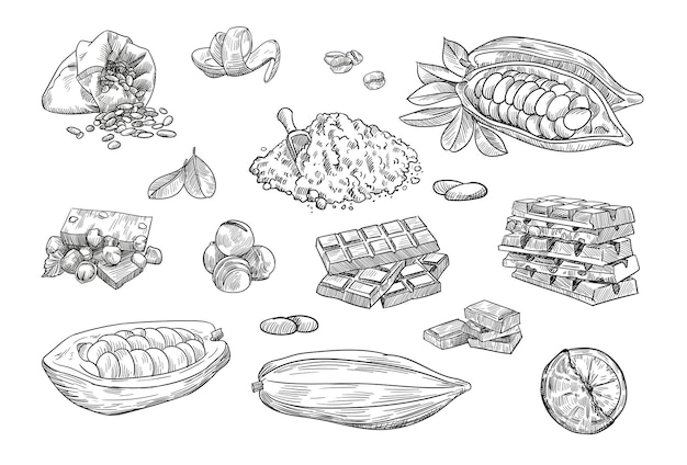 Chocolate elements hand drawn illustration collection