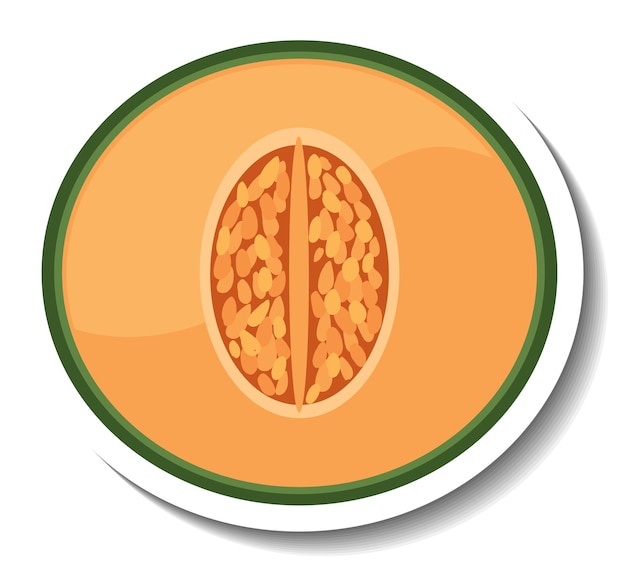 Free Vector chopped cantaloupe in cartoon style