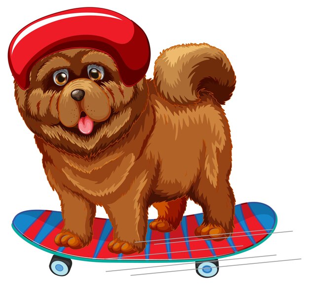 Chow Chow dog wears helmet standing on skateboard