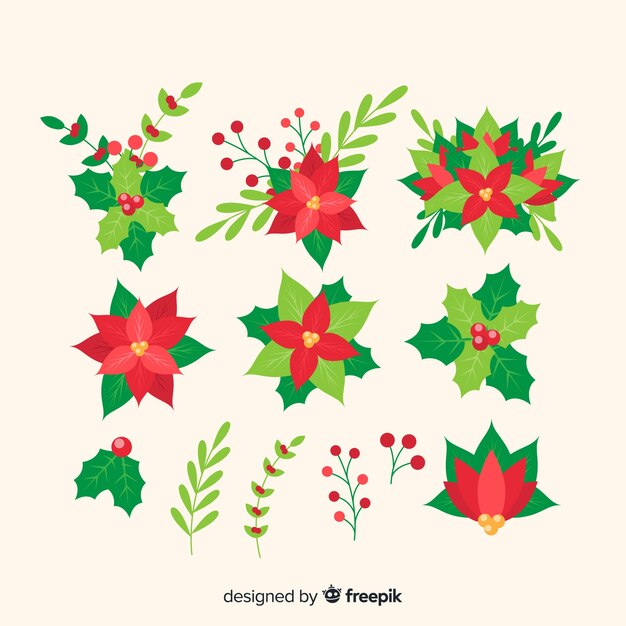 Christmas flowers collection in flat design