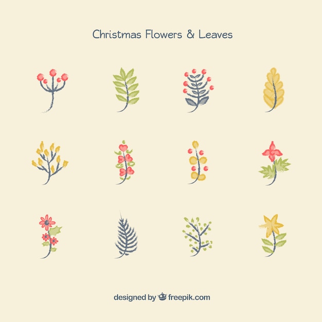 Christmas flowers and leaves