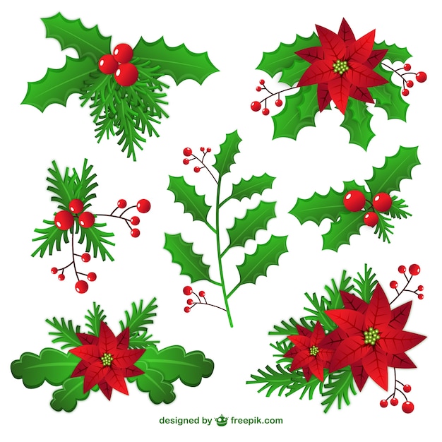 Free vector christmas mistletoe decoration