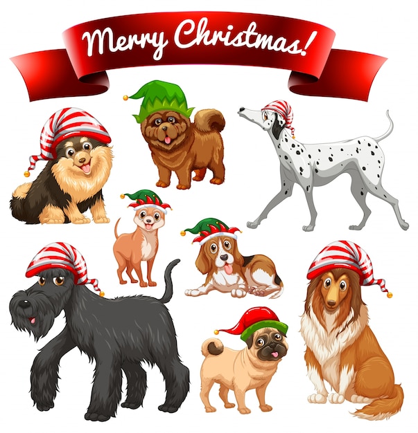 Free Vector christmas theme with dogs in elf hats