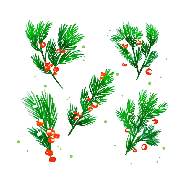 Christmas tree branches watercolor background