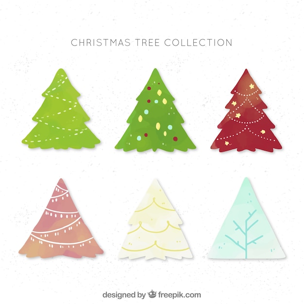 Christmas trees of different colours