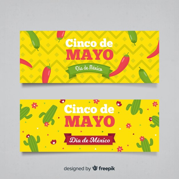 Cinco de mayo banner