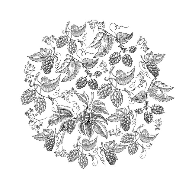 Circle pattern hop foliated doodle with repeating beautiful berries on white hand drawing illustration