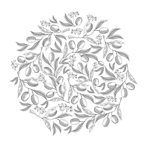 Circle pattern olive blossom doodle with repeating beautiful berries on white hand drawing illustration