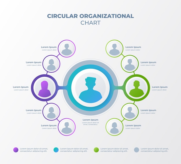 Circular organizational chart infographic design template