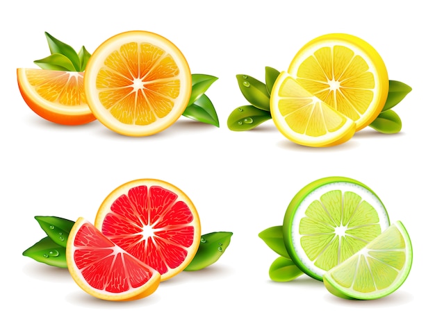 Citrus fruits halves and quarter wedges 4 realistic icons square with orange grapefruit lemon isolat