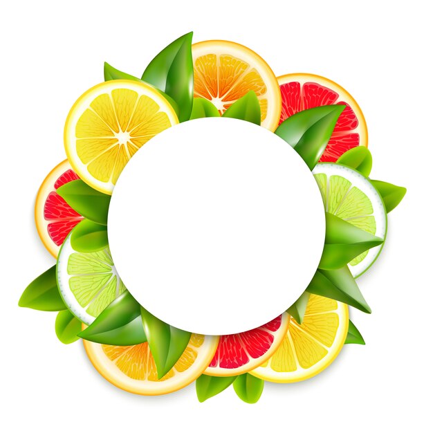 Citrus Fruits Slices Arrangement Round Frame 