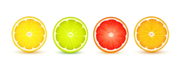 Citrus fruits slices realistic closeup set with lemon lime grapefruit orange shadow reflection on white vector illustration