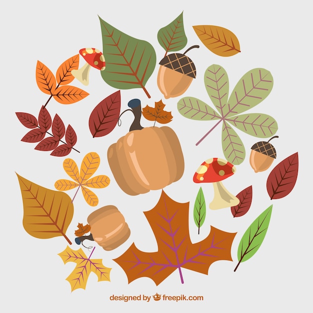 Classic autumn elements with flat design