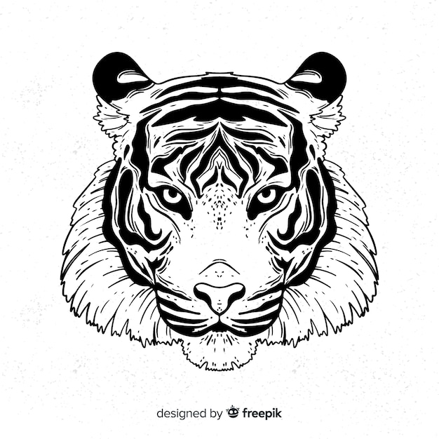 Classic hand drawn tiger compositio