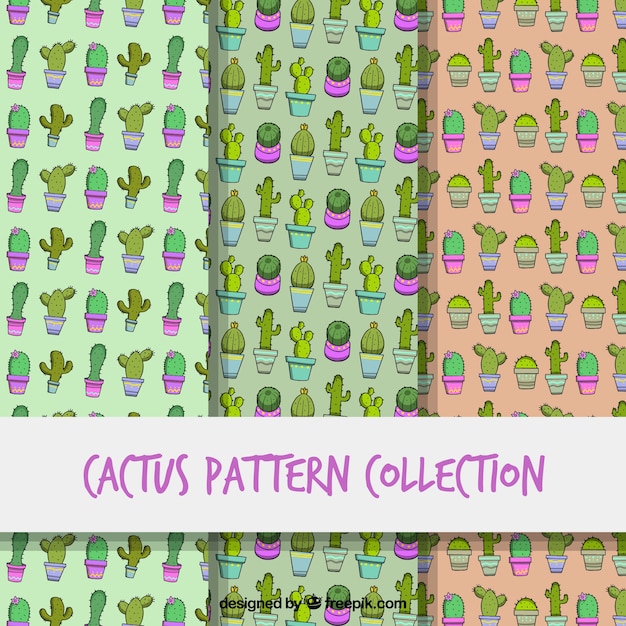 Classic set of hand drawn cactus patterns