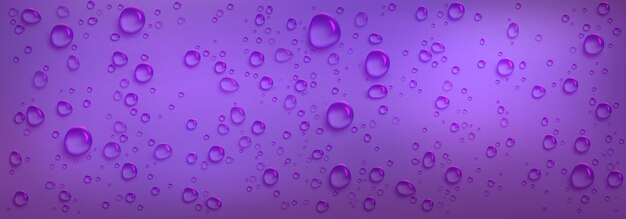 Clear water droplets on purple background