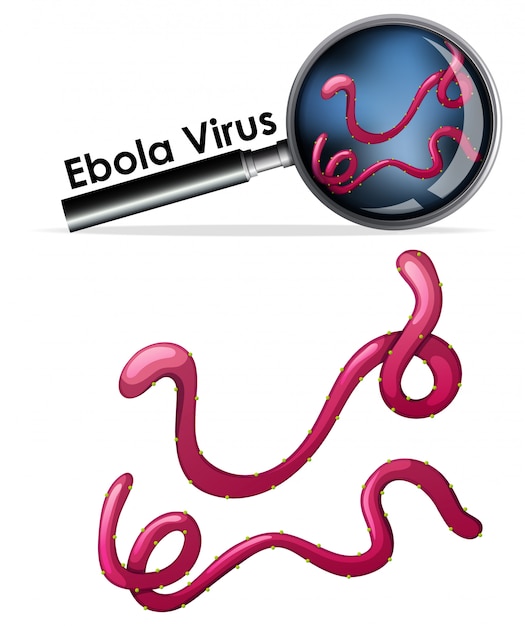 Free vector close up isolated object of virus named ebola virus