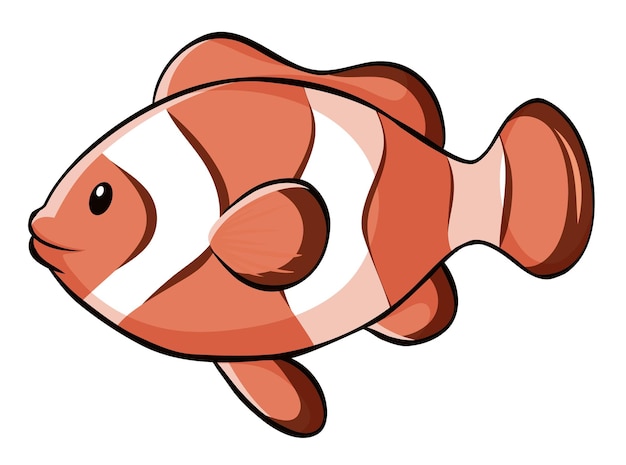 Clownfish on white background