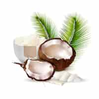 Free vector coconut realistic illustration