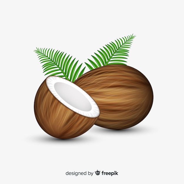 Free Vector coconuts