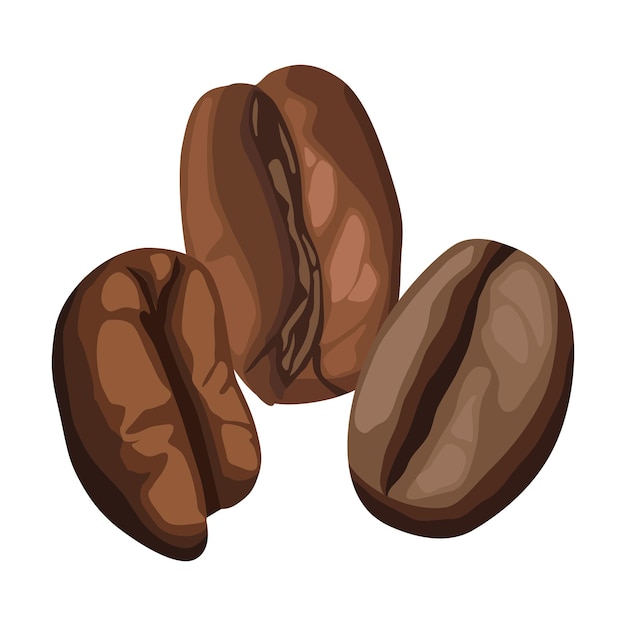 coffee dry beans icon isolated