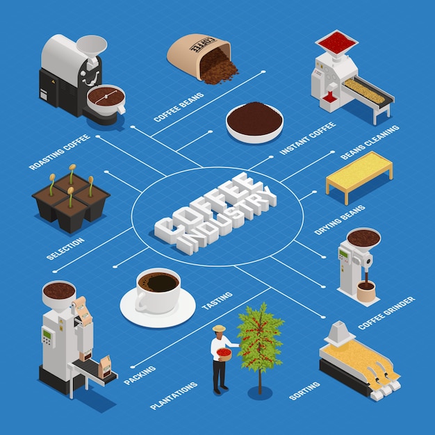 Free Vector coffee industry flowchart