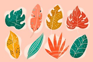 leaf illustrations