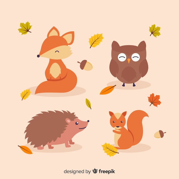 Collection of autumn forest animals flat design