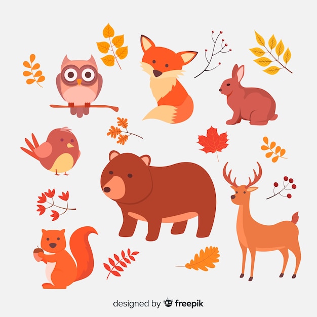 Collection of autumn forest animals flat design