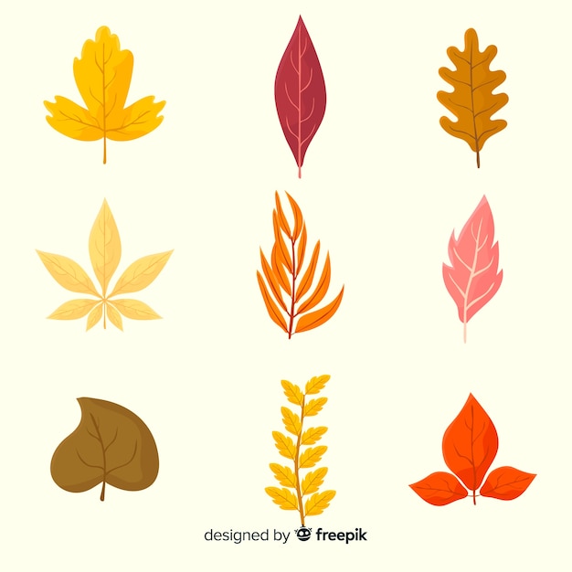 Collection of autumn leaves flat design