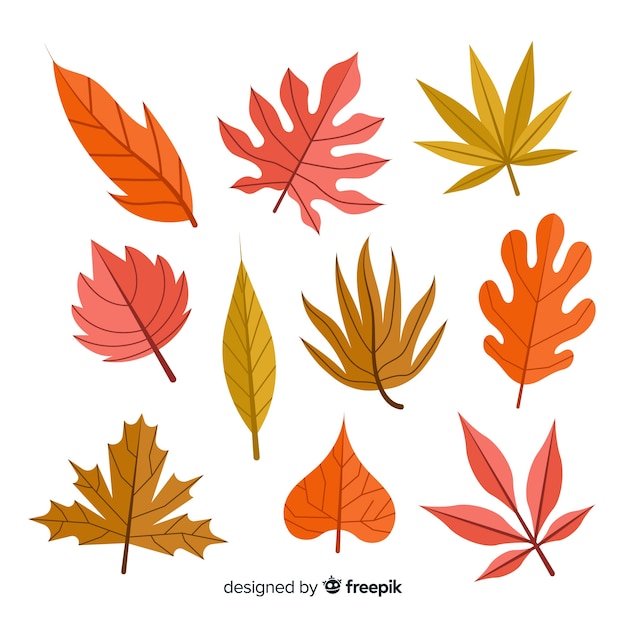 Collection of autumn leaves flat design