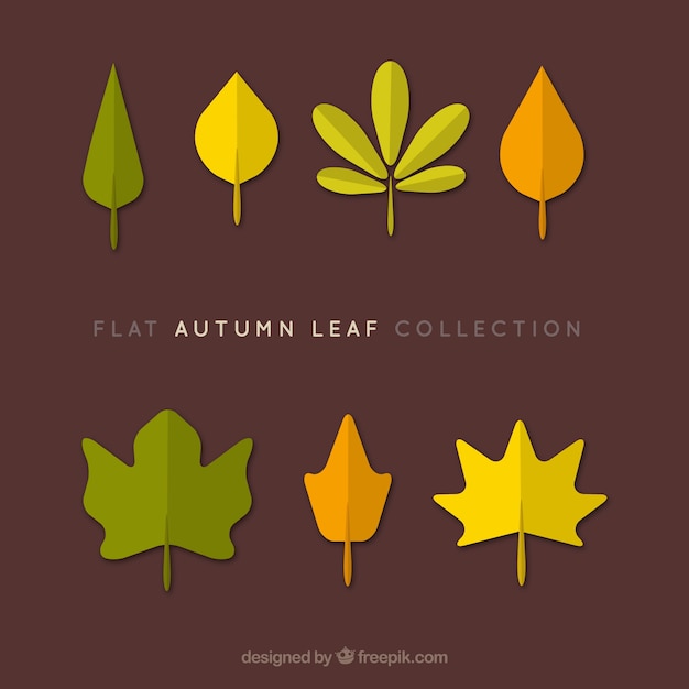 Collection of autumn leaves, flat style