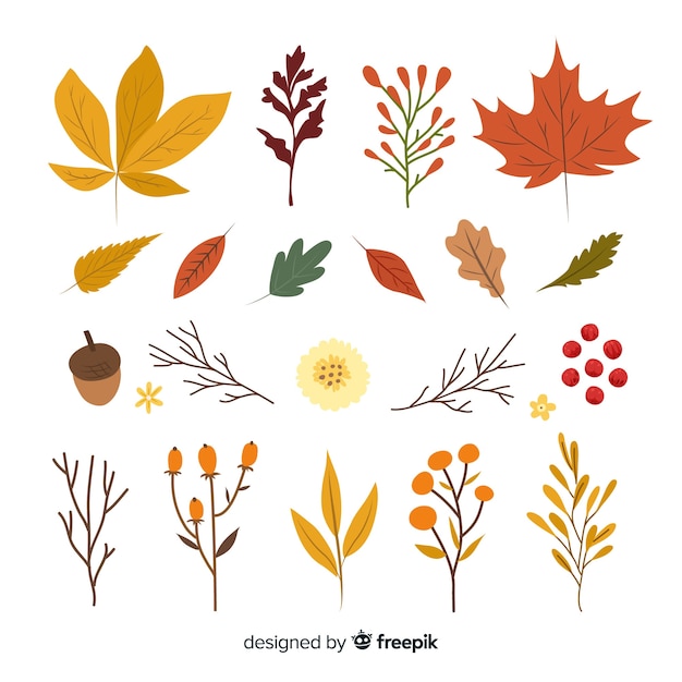 Collection of autumn leaves hand drawn style