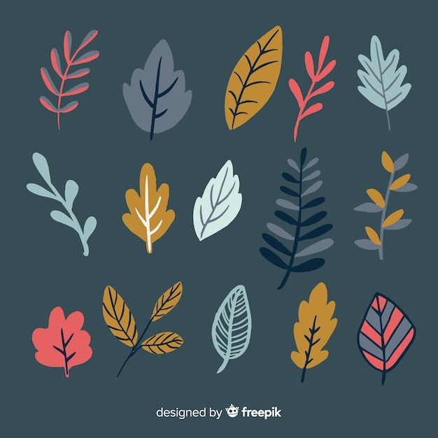 Free Vector collection of autumn leaves hand drawn style