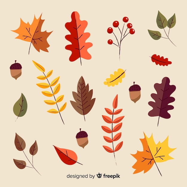 Collection of autumn leaves hand drawn style