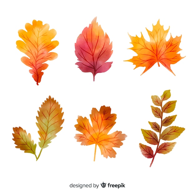 Collection of autumn leaves watercolor style