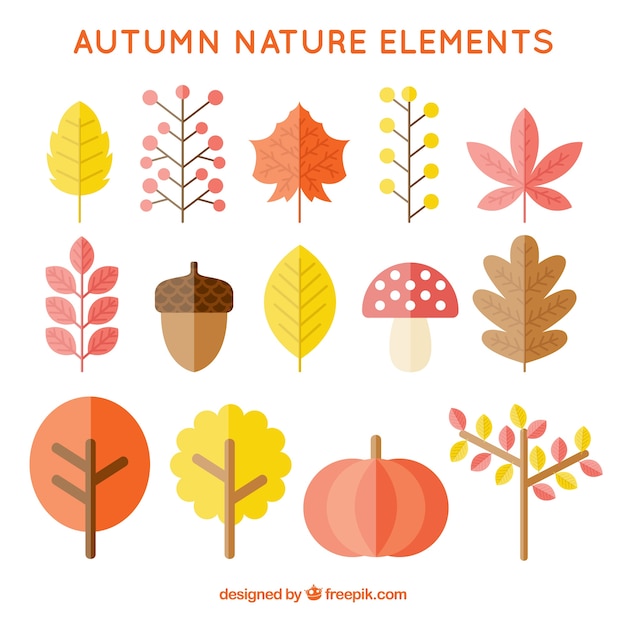 Collection of autumn natural elements 